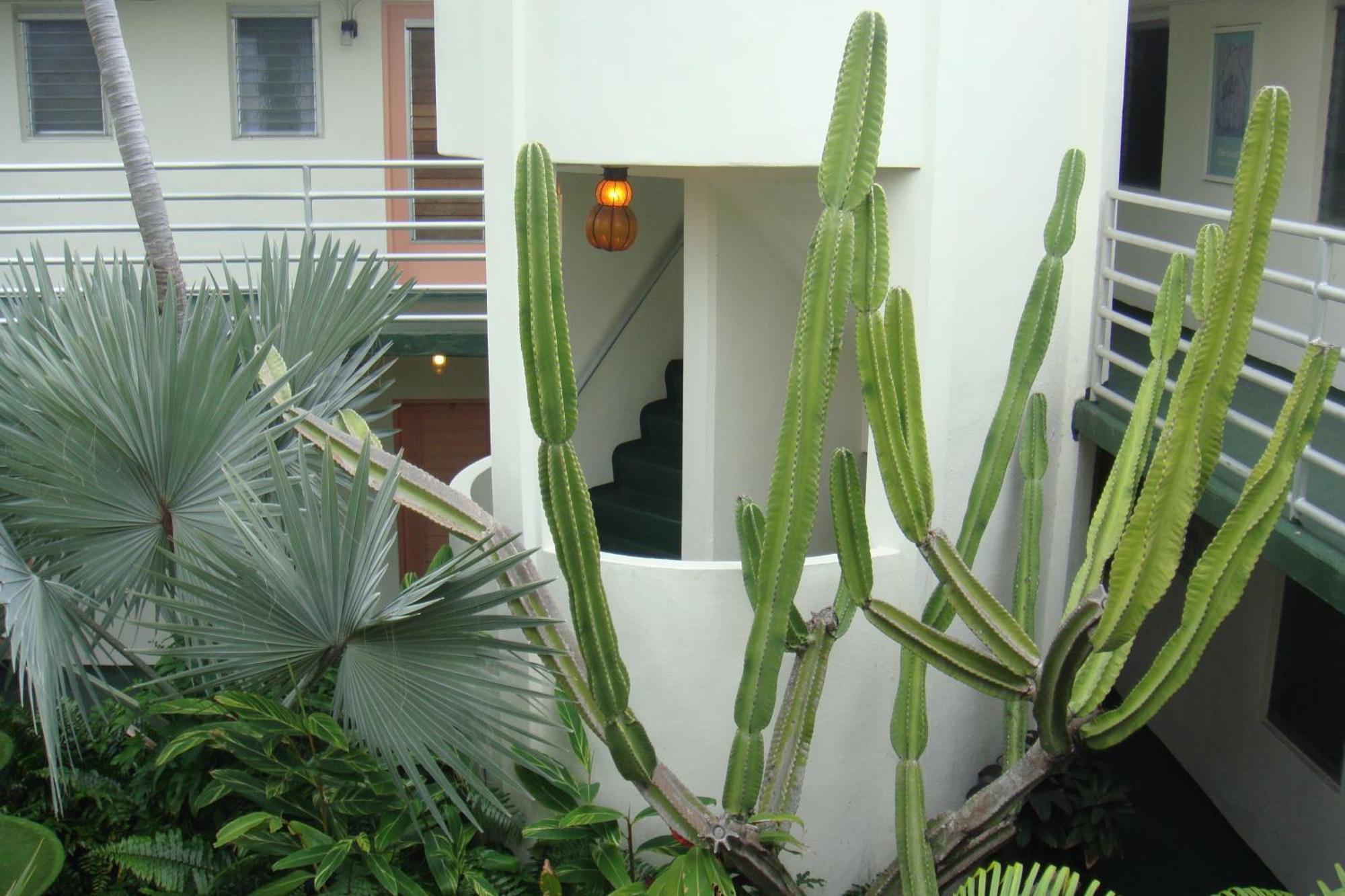 El Patio Motel Key West Ngoại thất bức ảnh